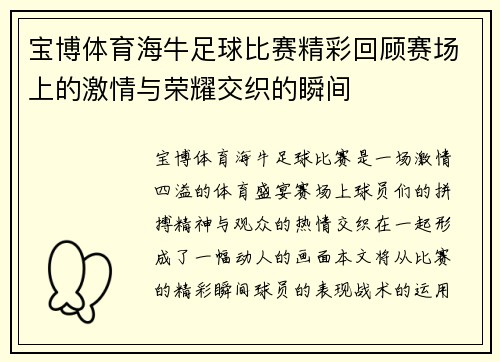 宝博体育海牛足球比赛精彩回顾赛场上的激情与荣耀交织的瞬间
